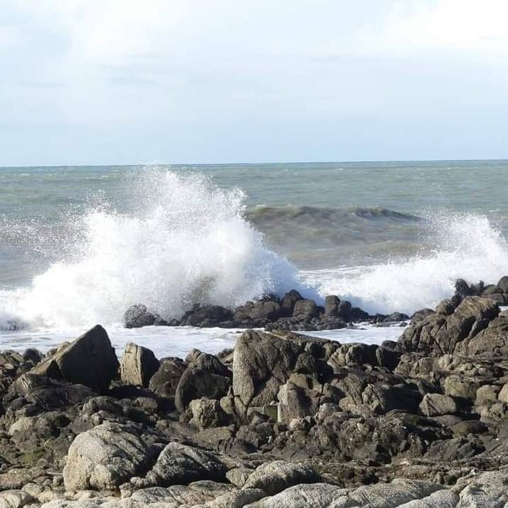 Instagram - My Lac du Der