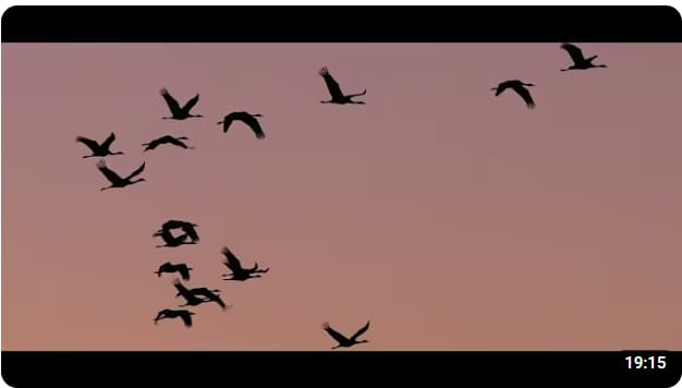 Youtube - Le Der, une Histoire entre l Homme et la nature