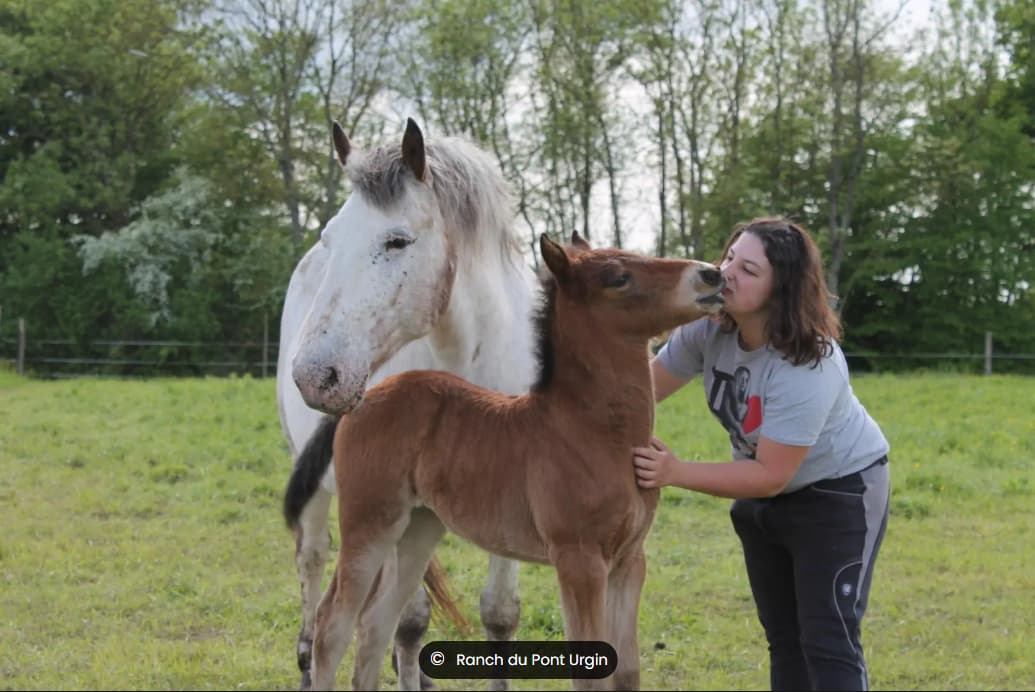 Evénement pour enfants: Découverte des animaux de la ferme Du Ranch du Pont urgin